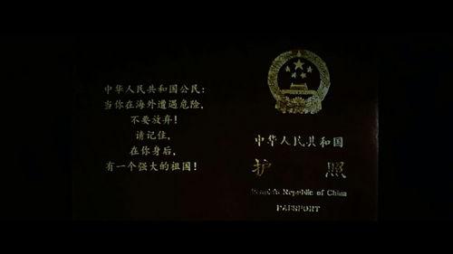 战狼2枪版在线观看,热血燃情，震撼视听！  第3张