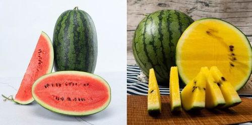 免费vx吃瓜群 第2张 免费vx吃瓜群 第2张